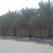 3BHK HOUSE NEAR TAWAM