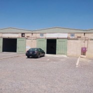 WAREHOUSE AND STORE FOR RENT IN AL AIN.